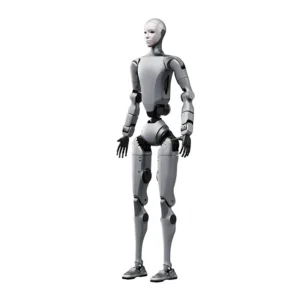 Robots humanoides